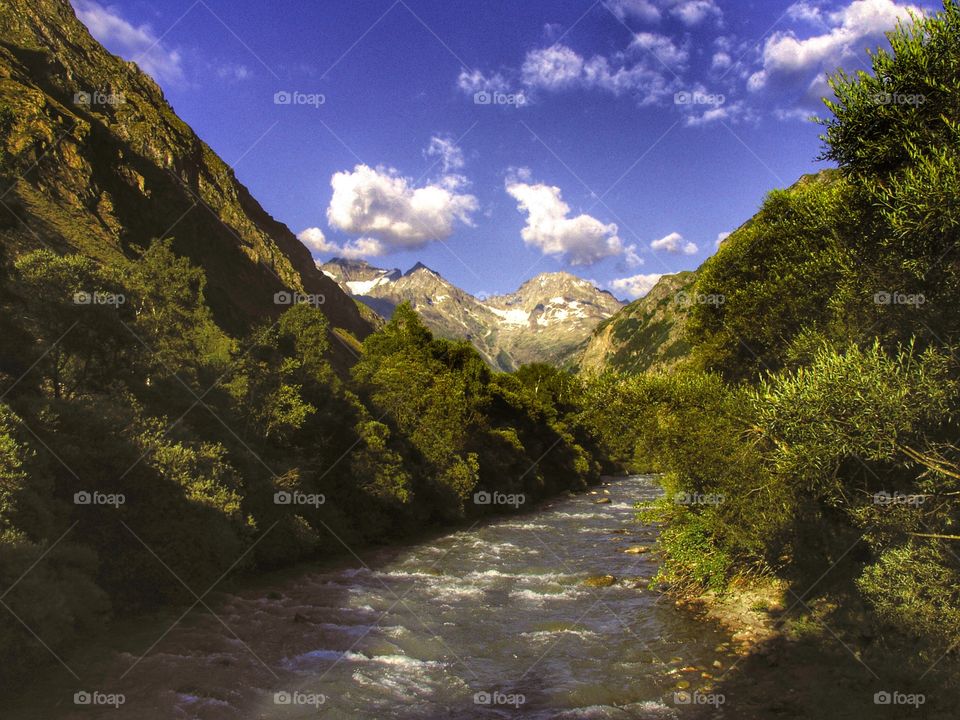 French Alps 