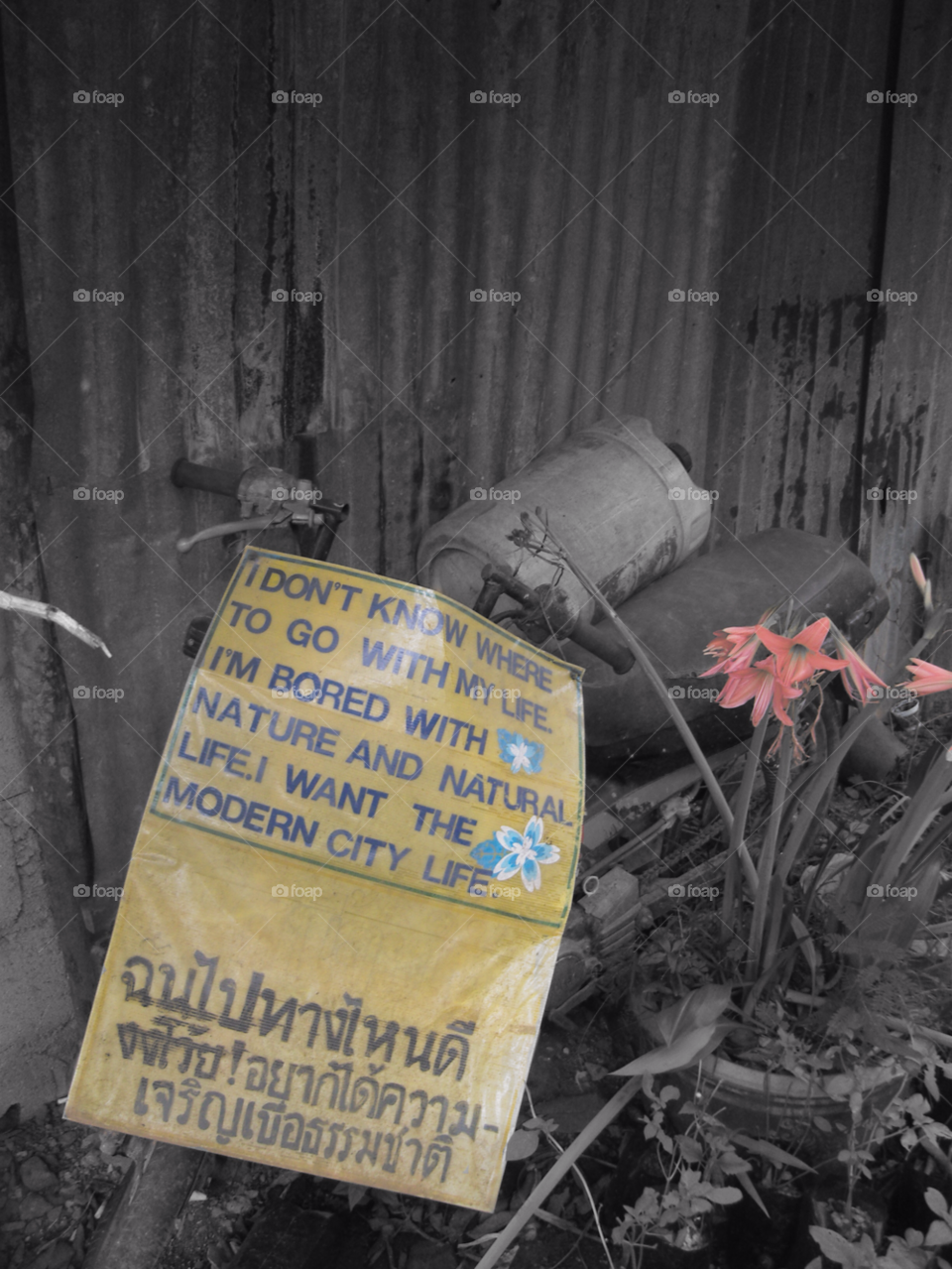 garden writing thai thailand by rd_wells