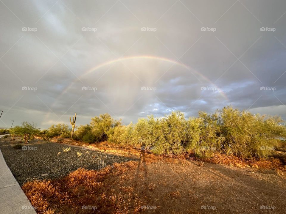 Rainbows in AZ