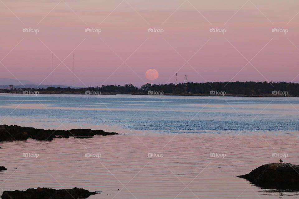 Pink surrounding of the ocean 