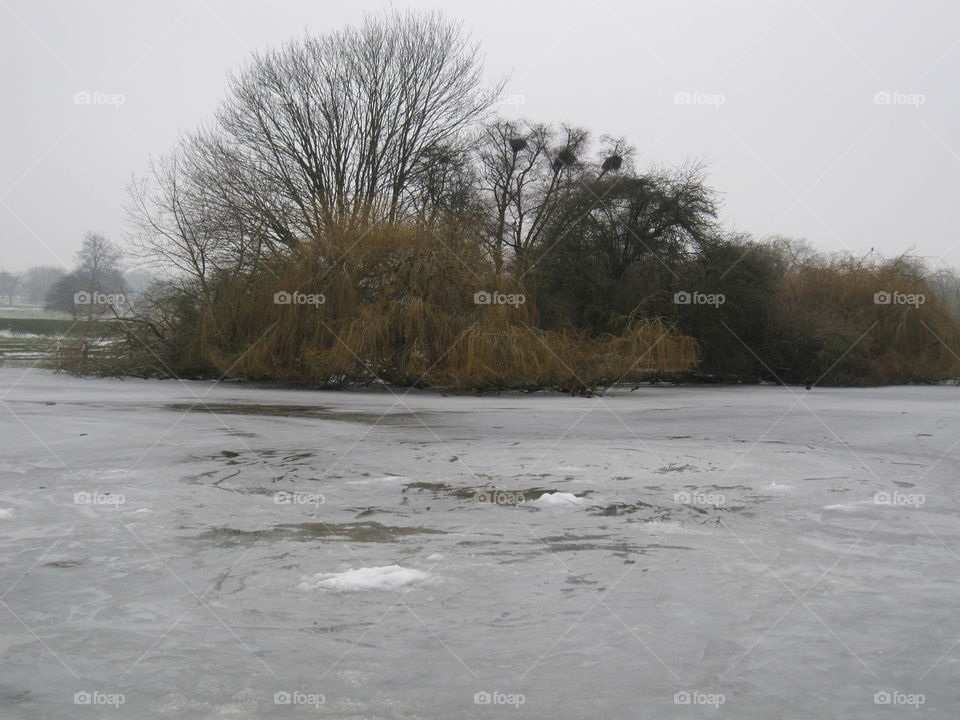 Frozen Lake