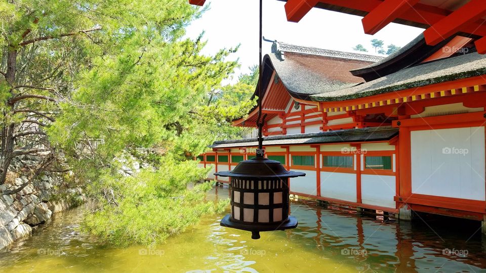 Lantern at the temple