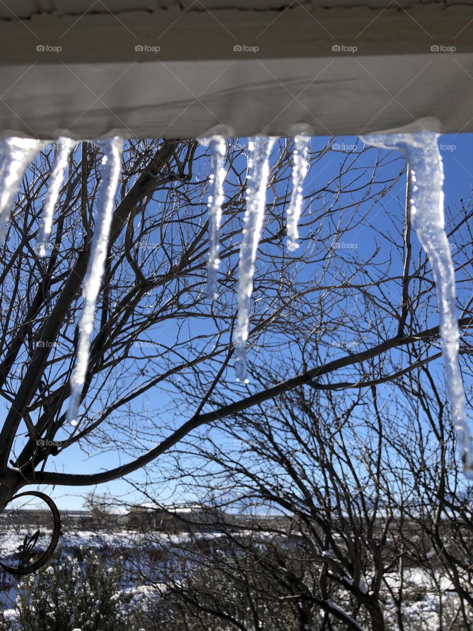 Icicles in the Sun