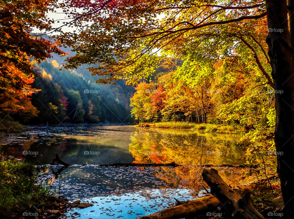 Morning reflection. Early morning on a side road in Vermont...had to stop