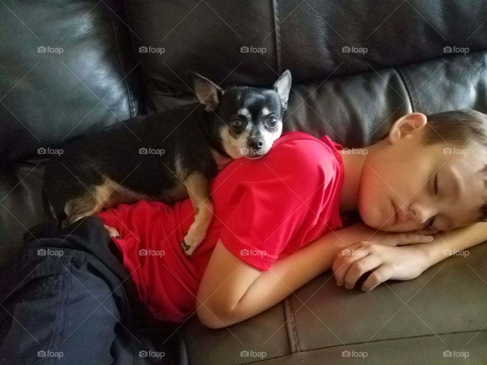 A boy and his Dog