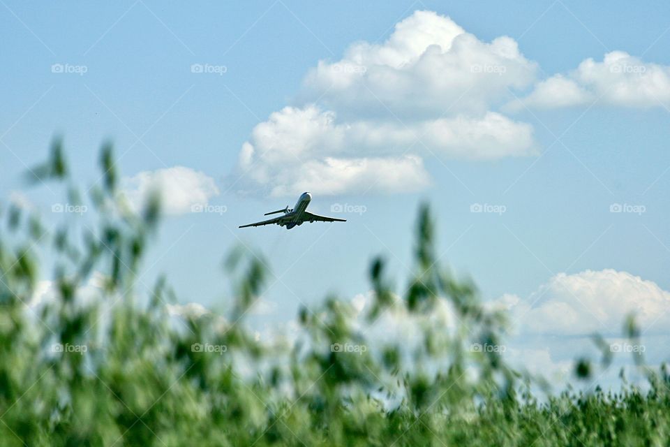 Airplane over the field