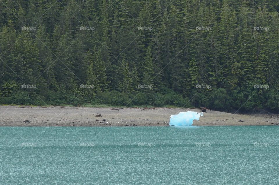 Melting ice berg on beach