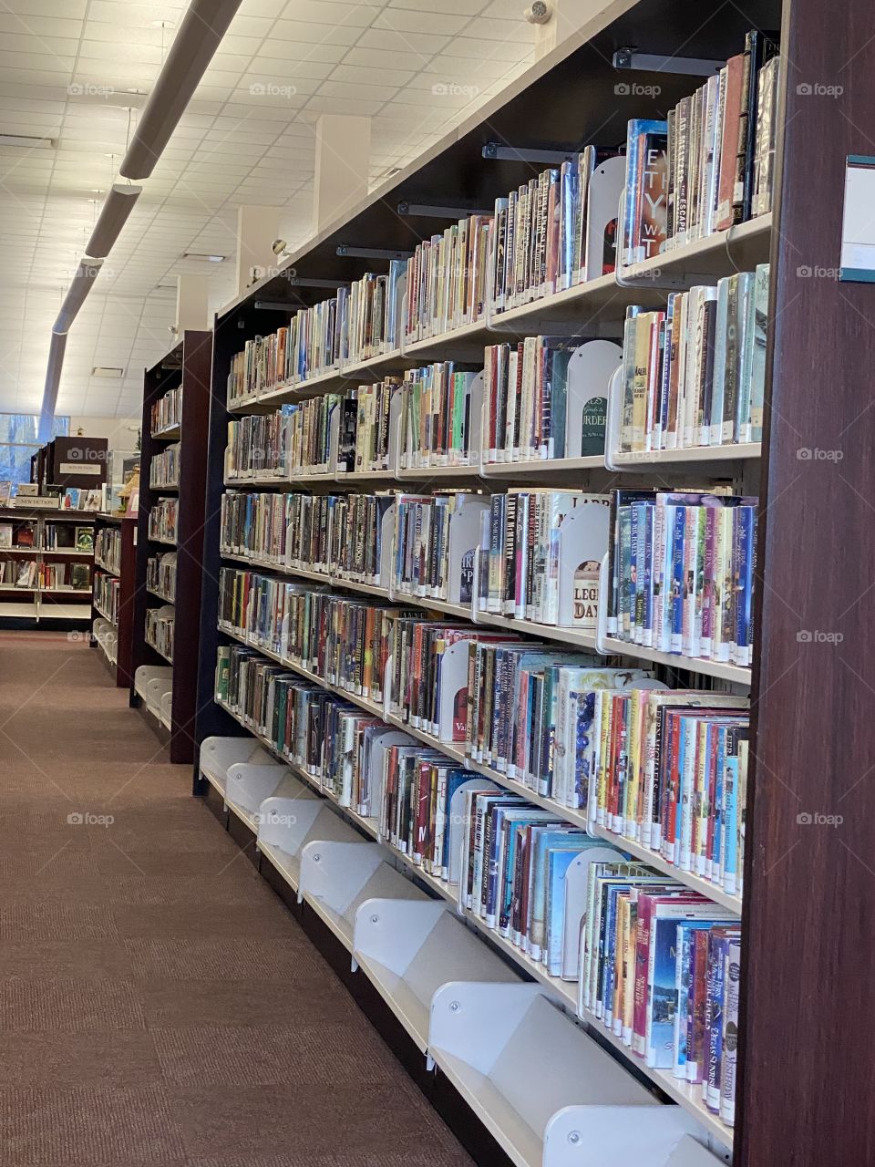 Library Shelves