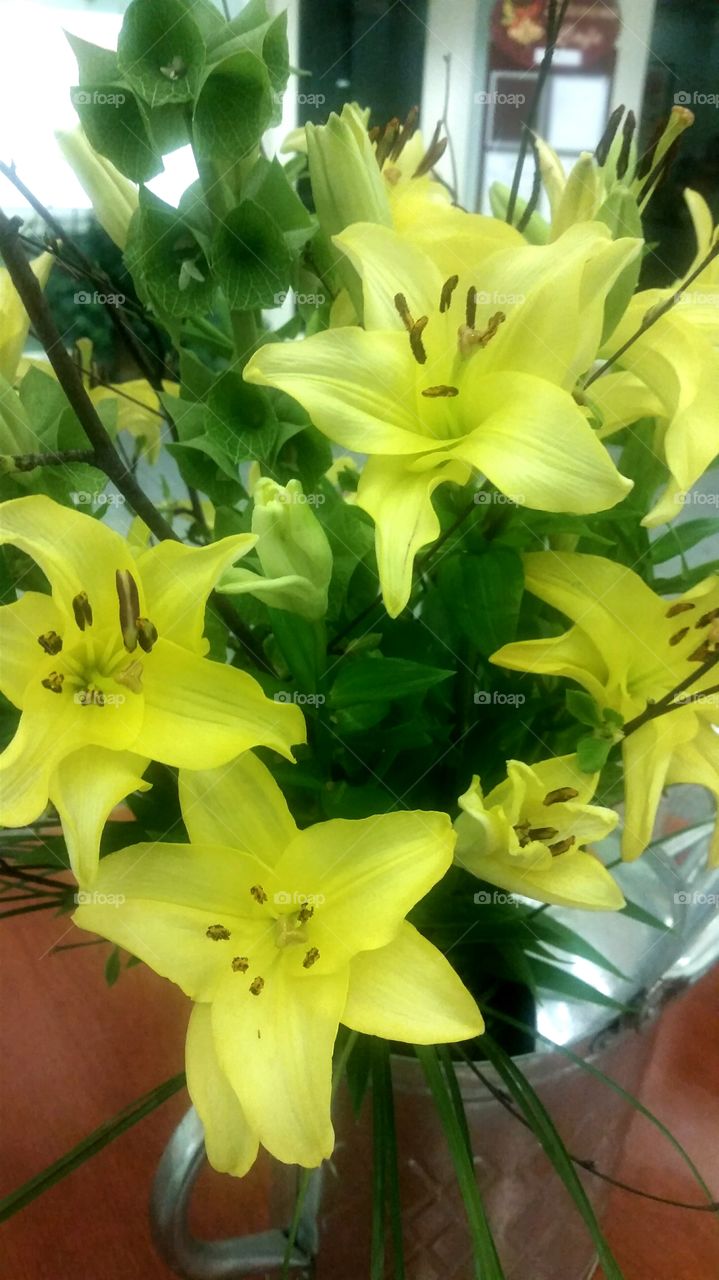 Lillies