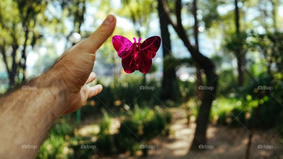 Everyone is like a butterfly, they start out ugly and awkward and then morph into beautiful graceful butterflies that everyone loves