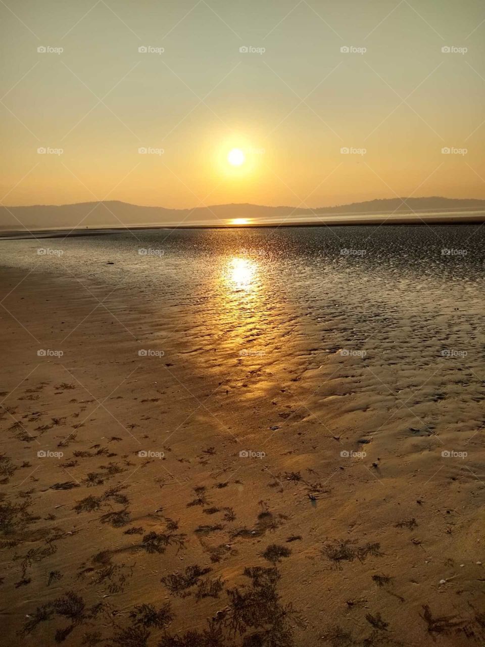 lovely evening
sunset at beach