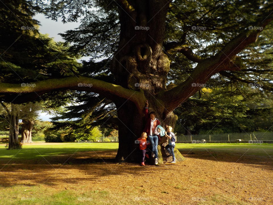 Respect for this old tree... 