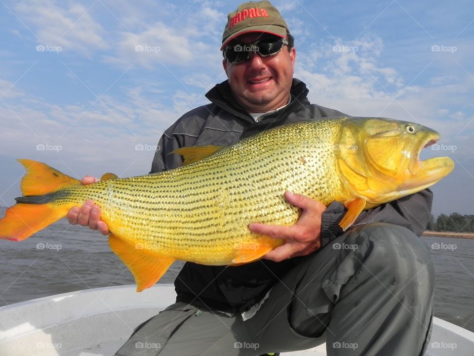 Golden dorado catch and release in Uruguay river.