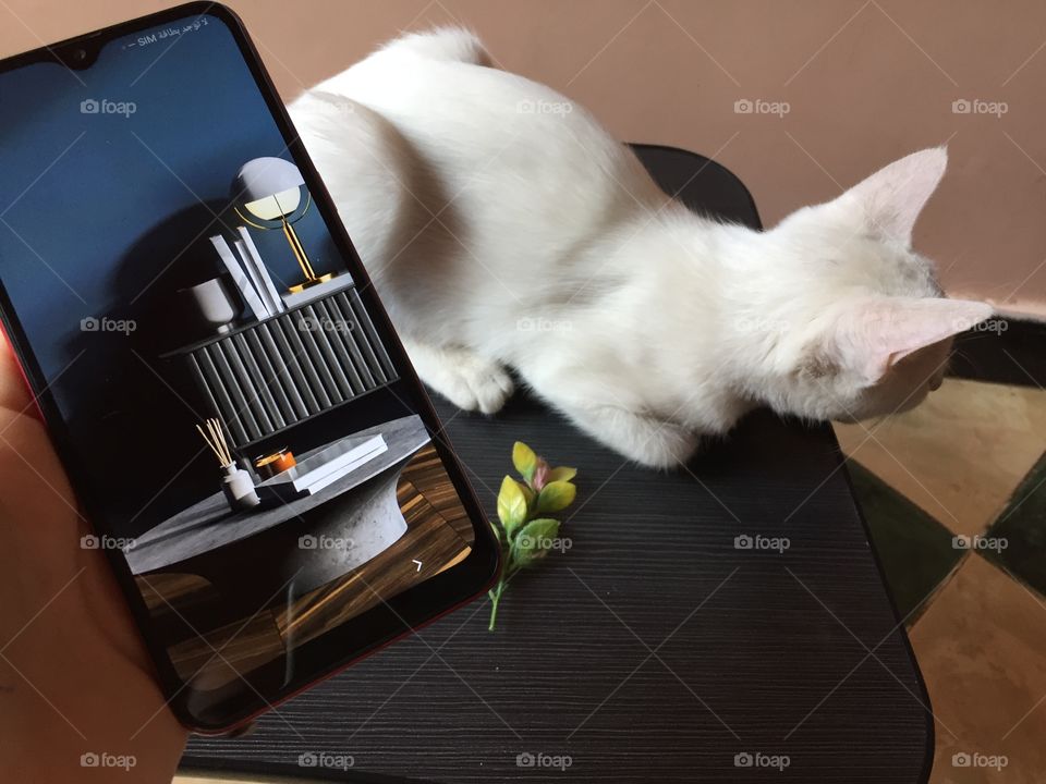 Life is more enjoyable with pets