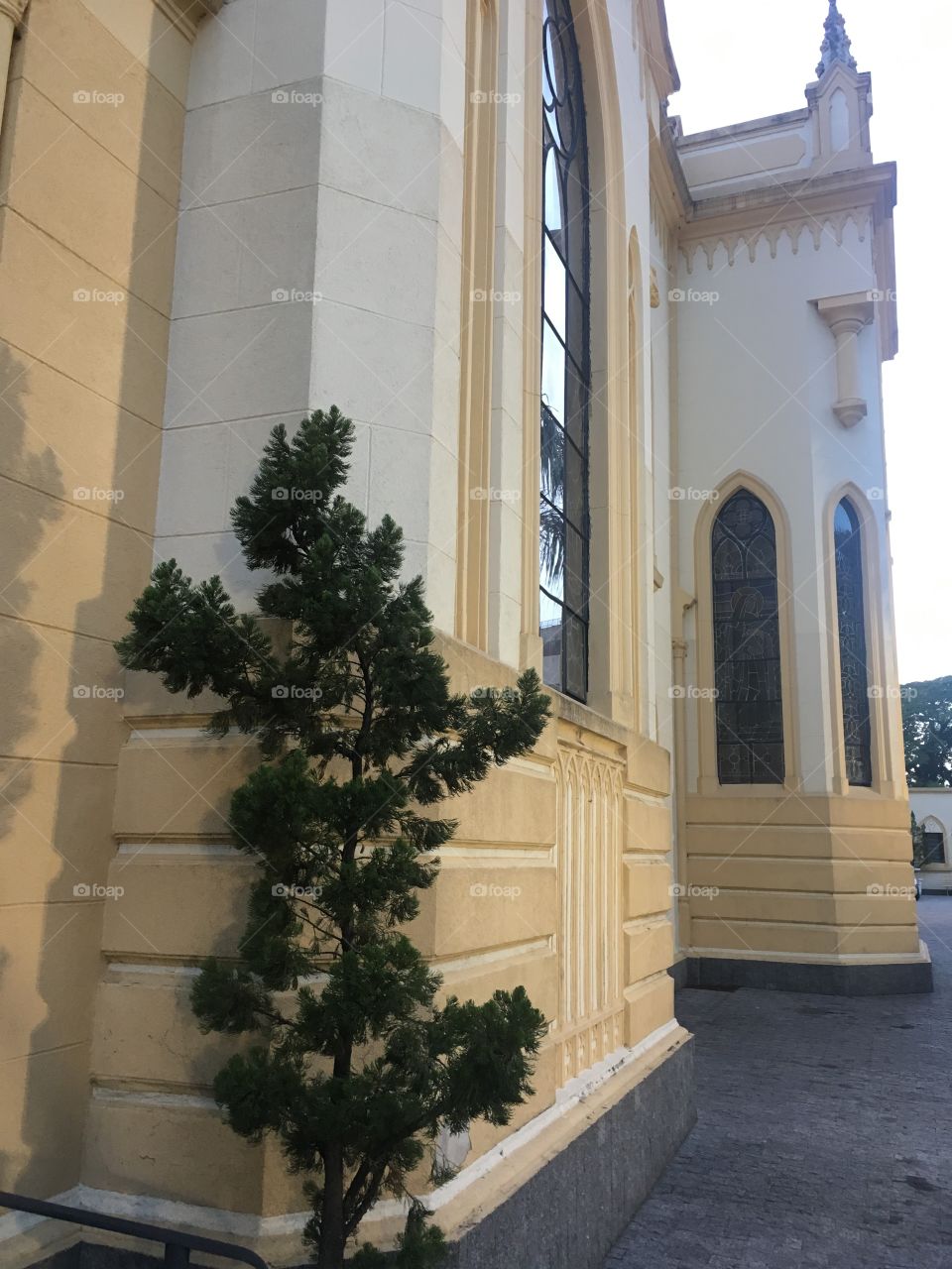 Entrada lateral da Catedral Nossa Senhora do Desterro. Com a bela arquitetura em meio às plantas. 