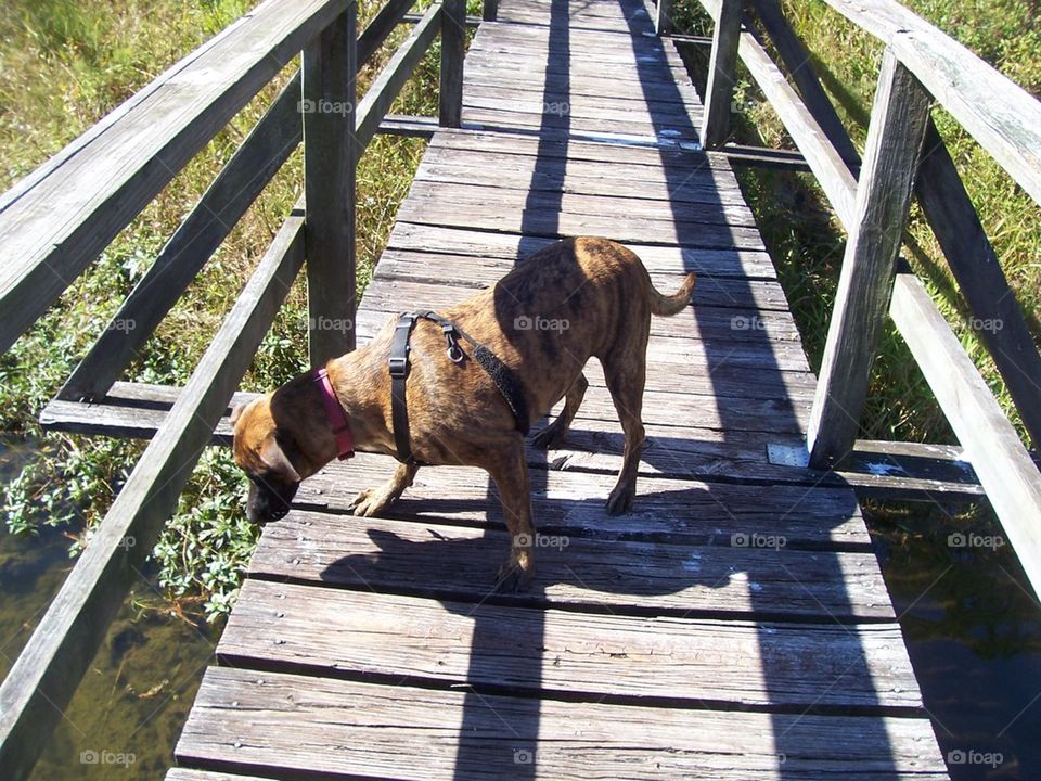 Thinkin' 'bout goin' for a swim