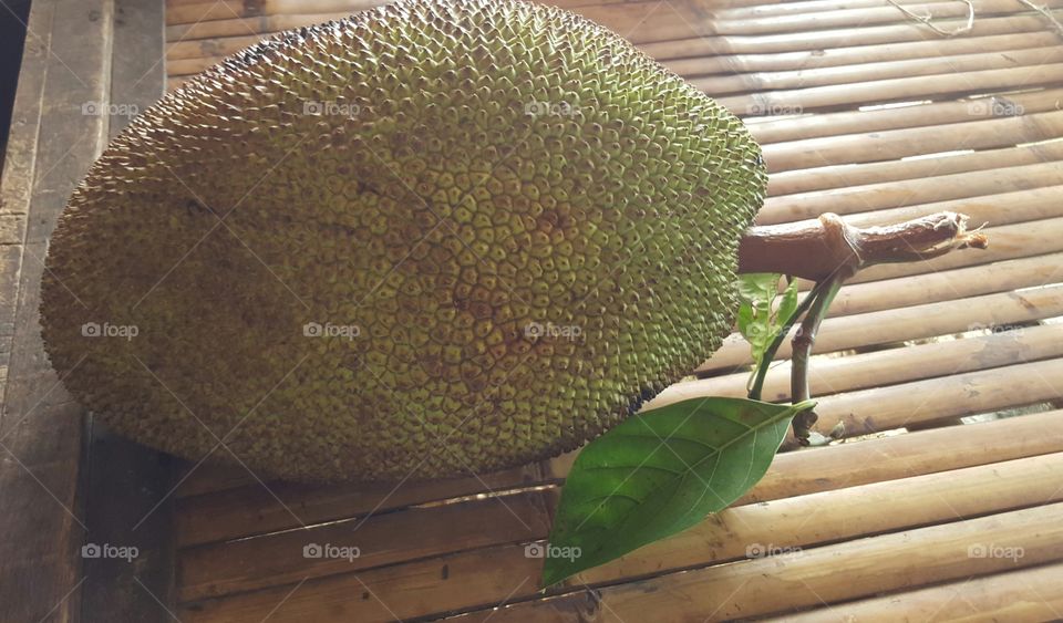 Jackfruit