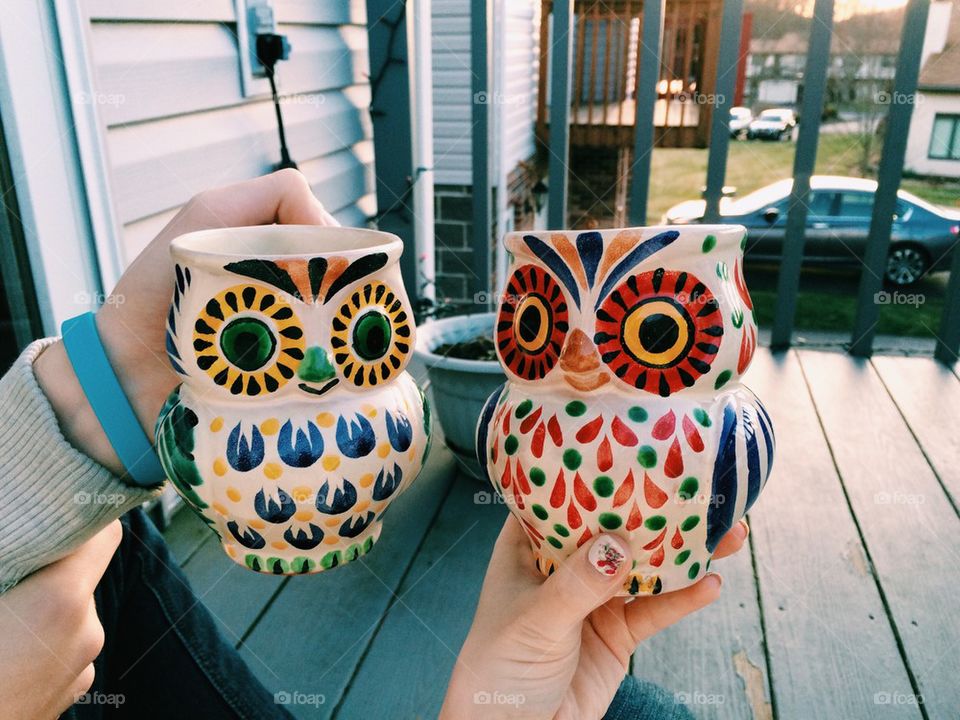 Owl Mugs