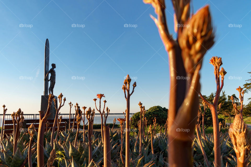 Surfing Monument