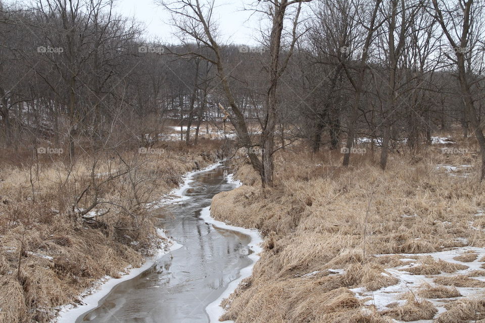 frosty creek