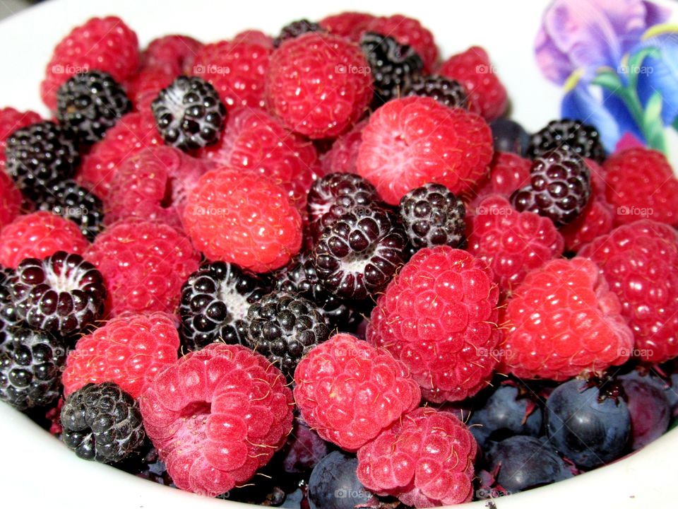 berries of raspberry, blackberry, irgi