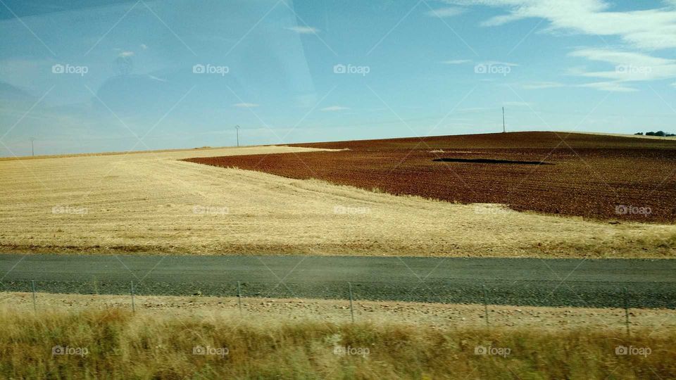 Wheat Field, Spain