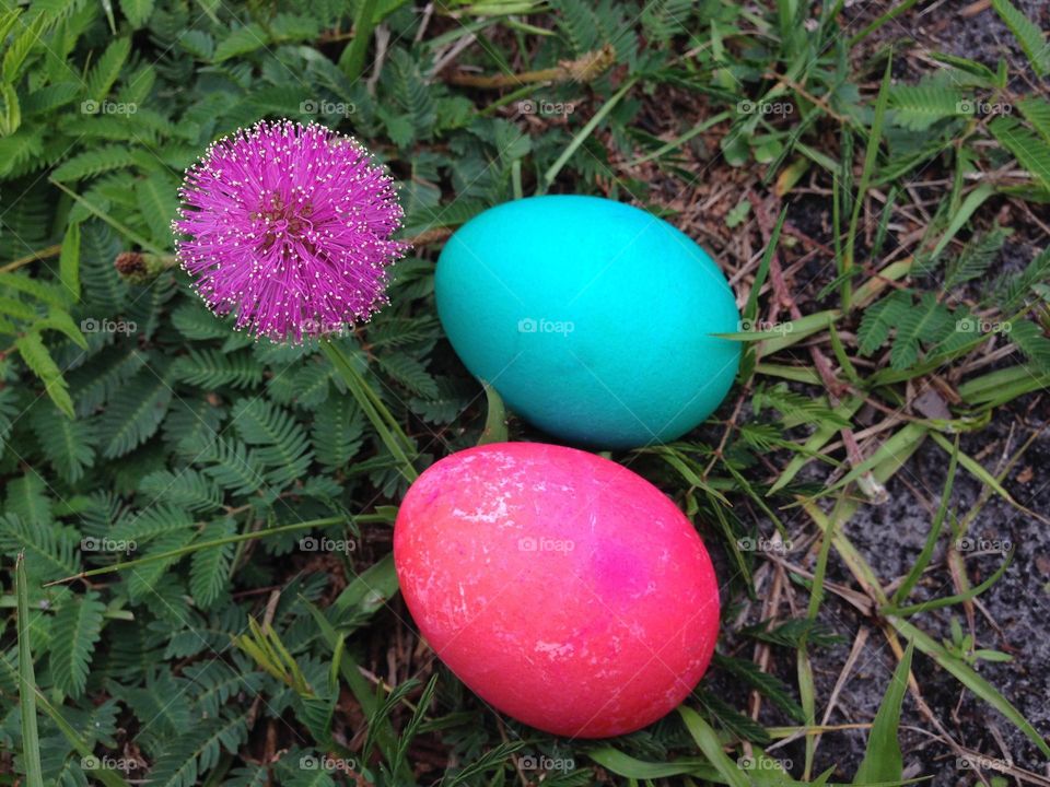 Wildflowers and colorful eggs.