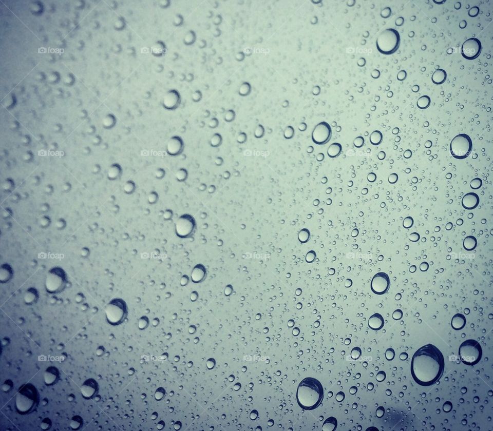 Rain drops 