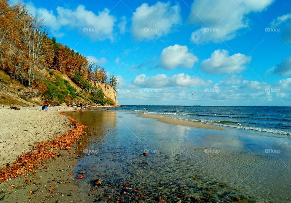 autumn at the Baltic sea coast in Poland