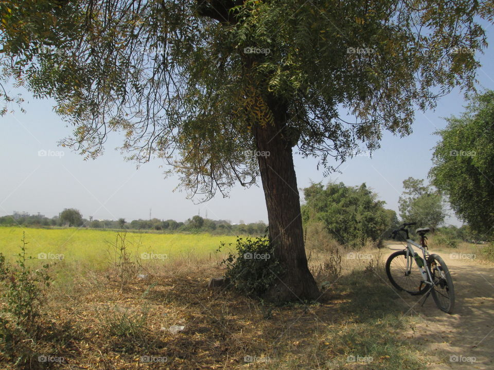 discovering new place!!!!( near me )!!!!!!!