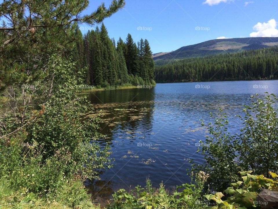 Hiking in the mountains 
