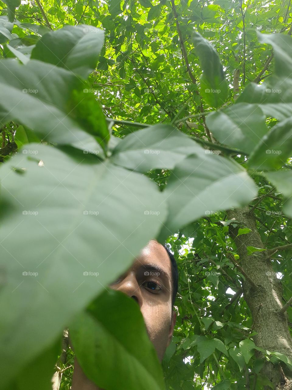 A selfie I took with my phone from under a bael tree in the morning in Sri Lanka