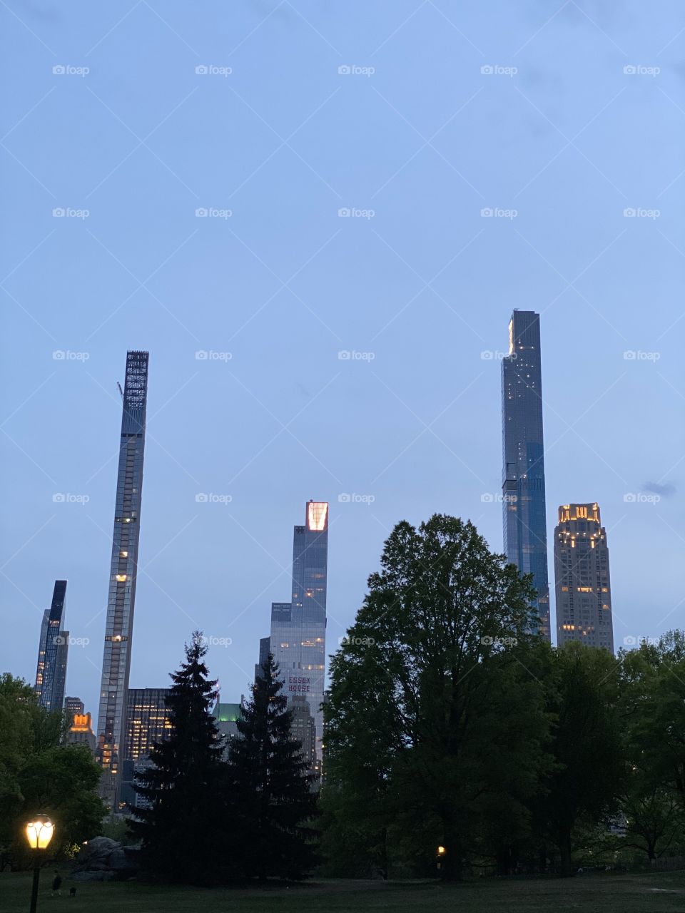Buildings with the lights on inside. Dusk, trees, with blue sky background, structures.