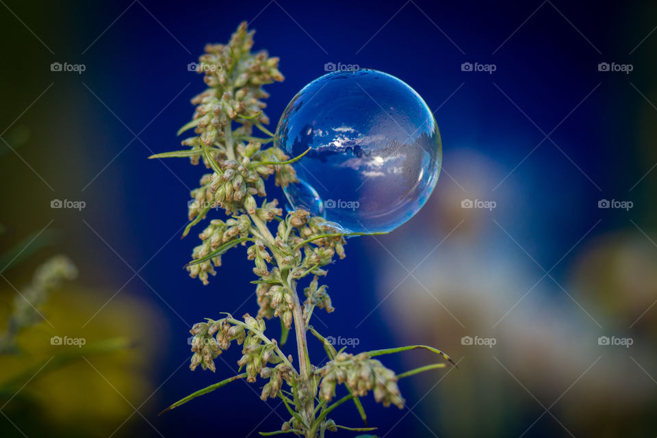 Soap bubble