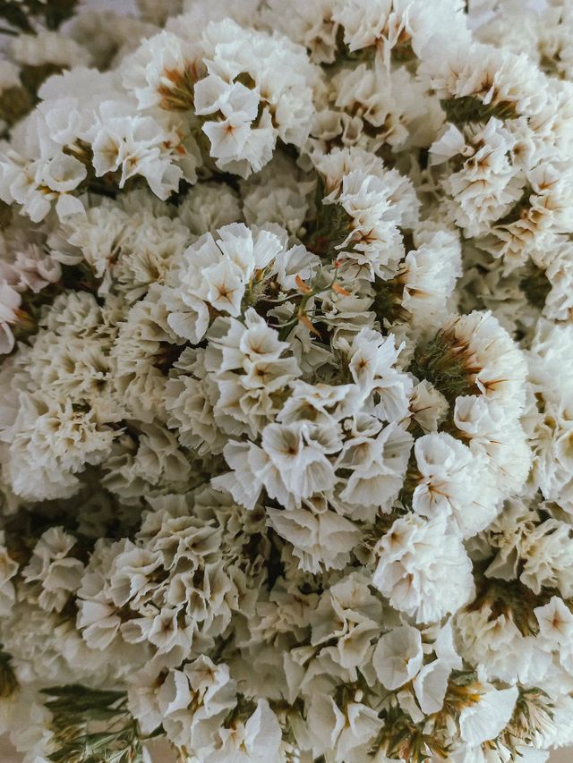 white flowers