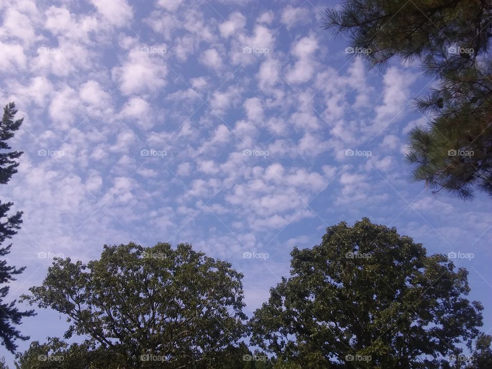 my view of a southern August sky!
