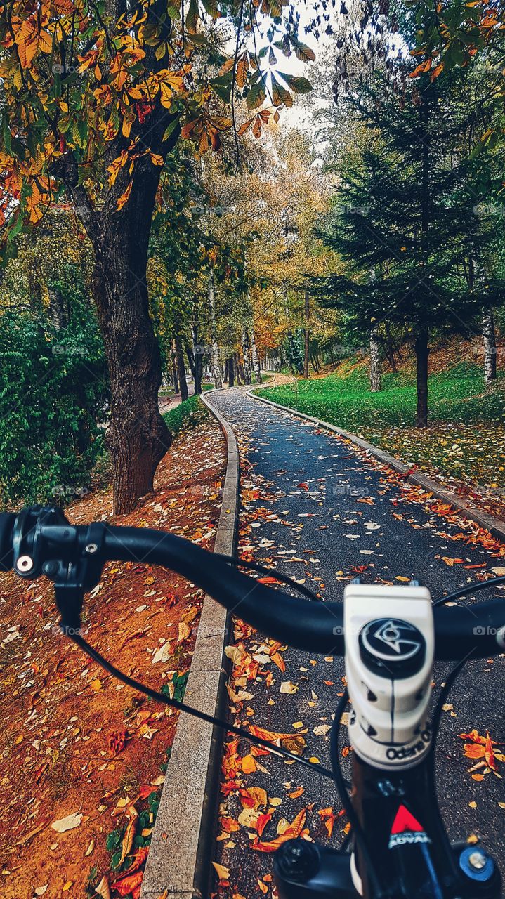 Fall Ride