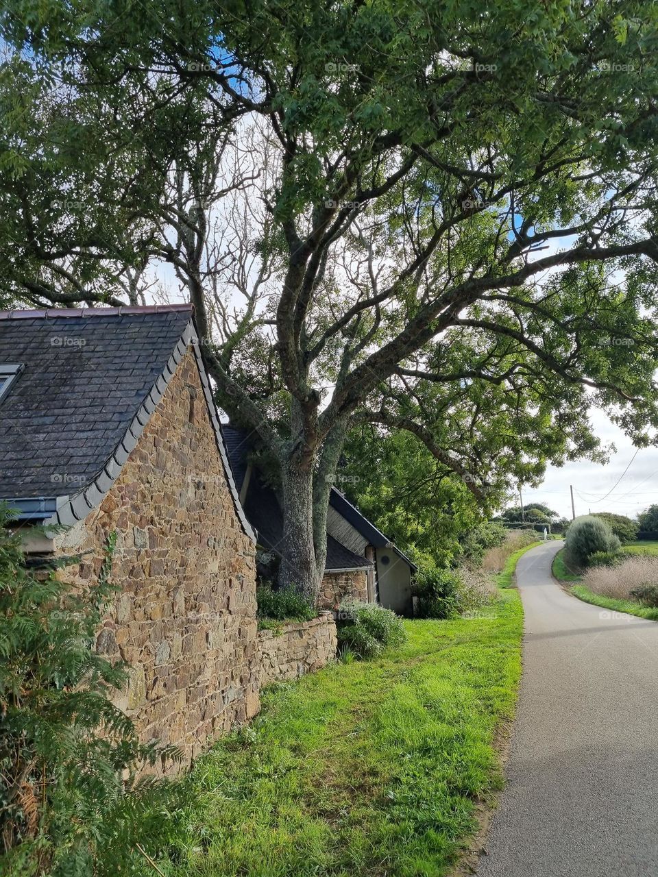 Old house on the road