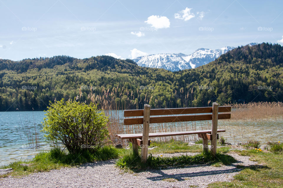 Lakeside bench