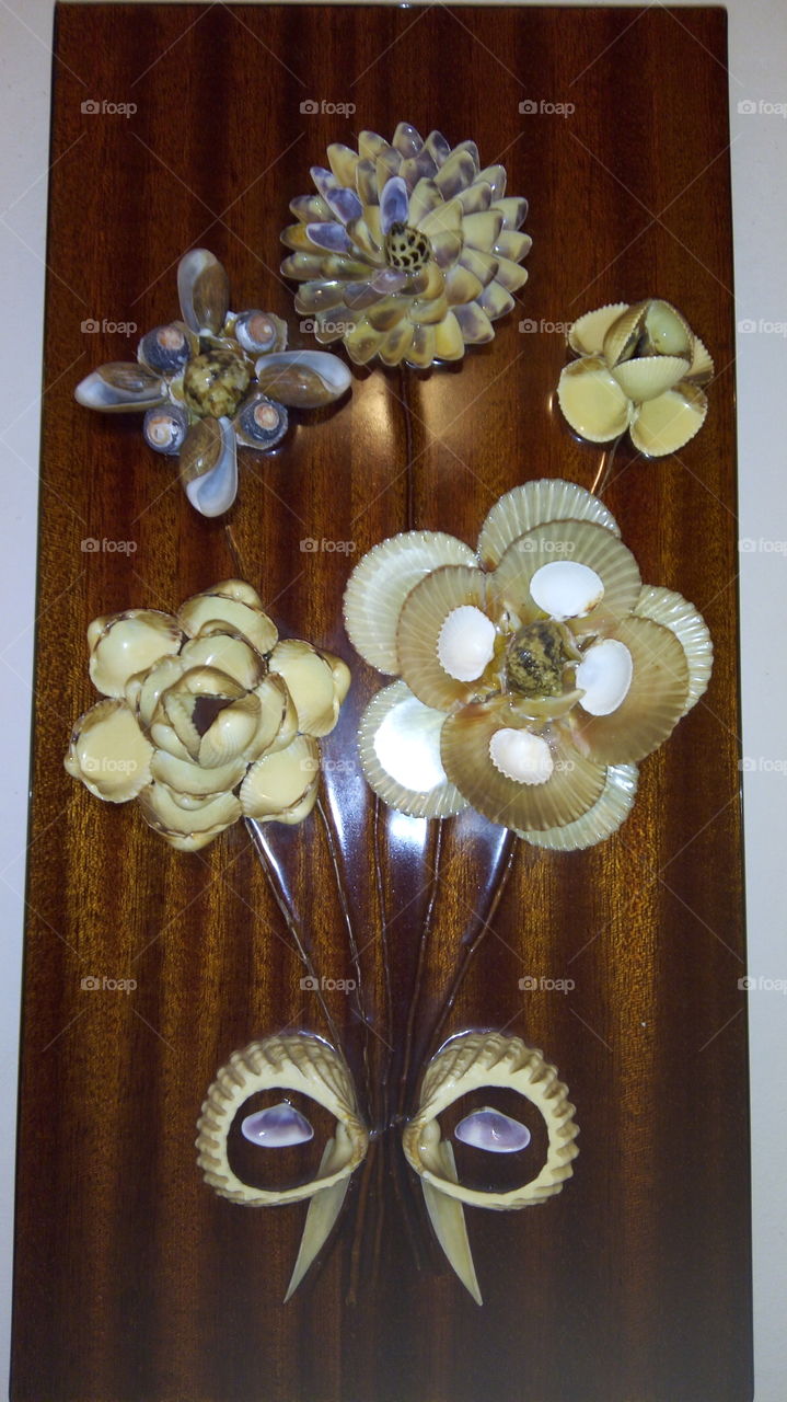 Artistic seashell 1