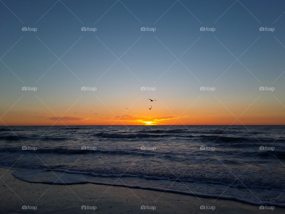 dawn over the Atlantic