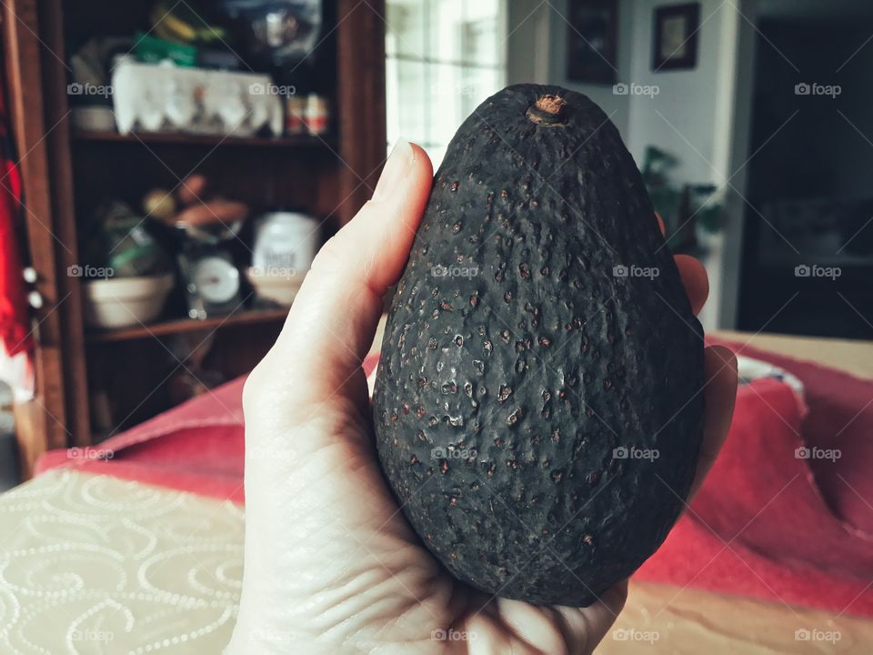 Holding an Avacado in the Kitchen