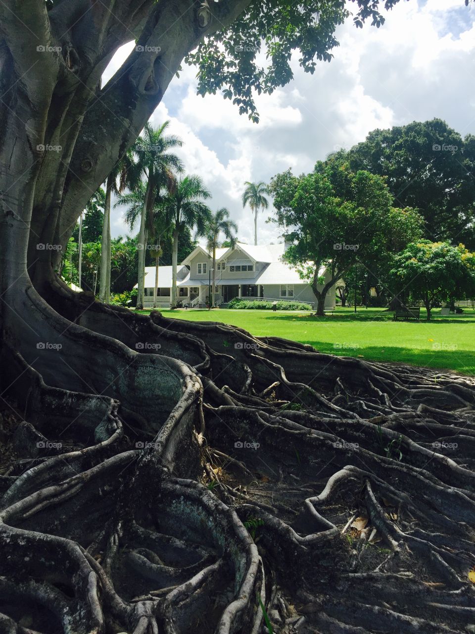 Henry Ford's summer home 