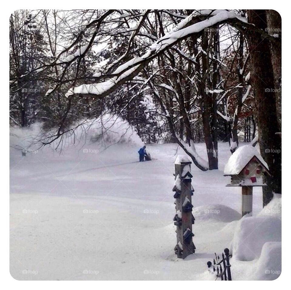 Michigan snow storm