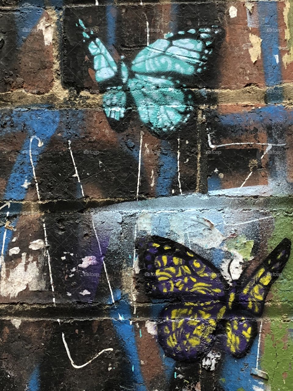 Urban art butterflies 