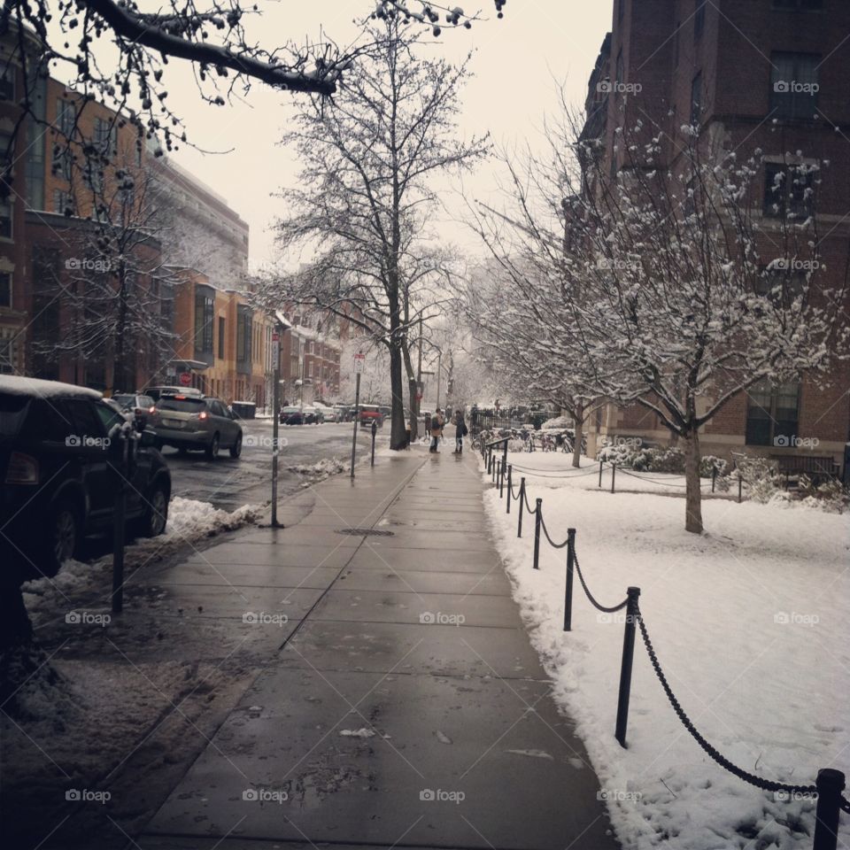 Winter in Boston 