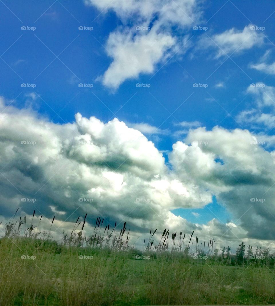 The aesthetic of nature