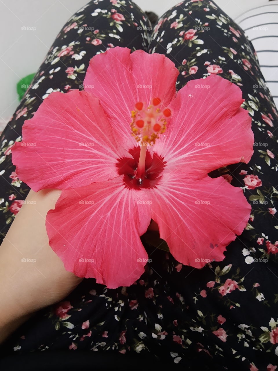 como a natureza é linda