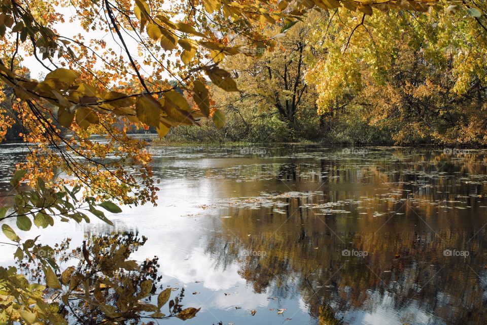 Autumn on the lake