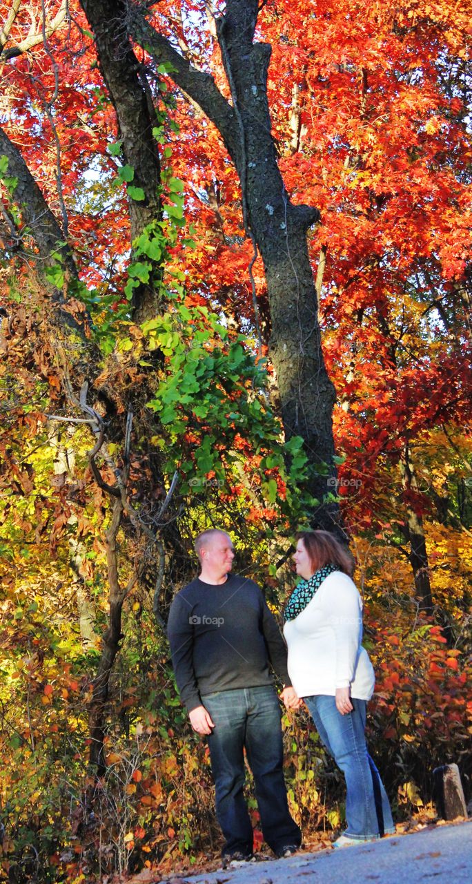 Fall afternoon walk 